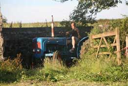 Hay Making