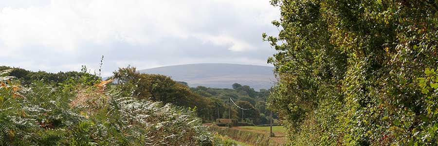 lane to Cosdon Beacon