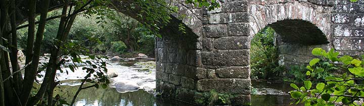 fingle bridge