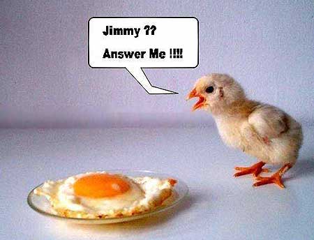 chick