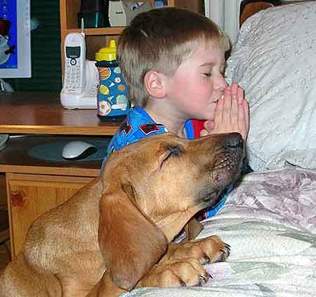 boy and dog