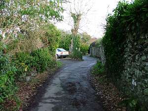 View down Back Lane
