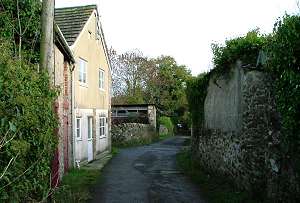 Down Back Lane