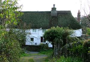 Thatched cottage