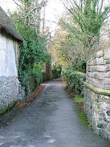 Leafy Back Lane