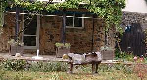 Carved tree wooden bench