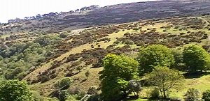 The North East face of Cosdon
