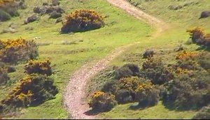 The footpath to the top