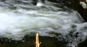 Foaming water