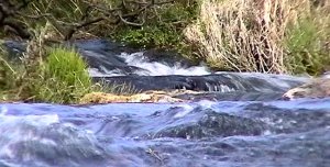 A flowing torrent