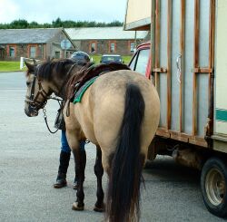 Dismounting at the Fun Ride