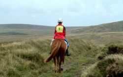 Over the Dartmoor waste land