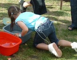 Apple Bobbing at Scouth Tawton School