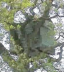 Tree House, South Tawton Parish