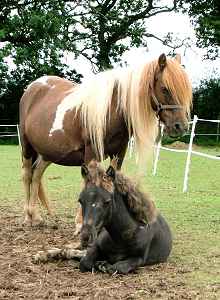 Me & mum
