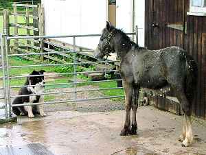 I'm bigger than you