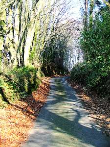 Lane to Spinster's Rock