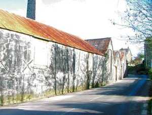 Tin roof