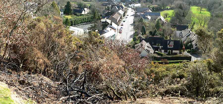 Gorse fire panorama
