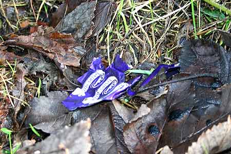 chocolate wrapper