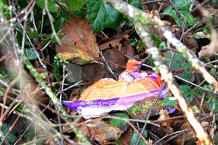 wrapper