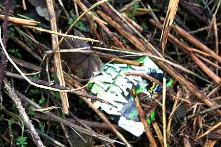 wrapper