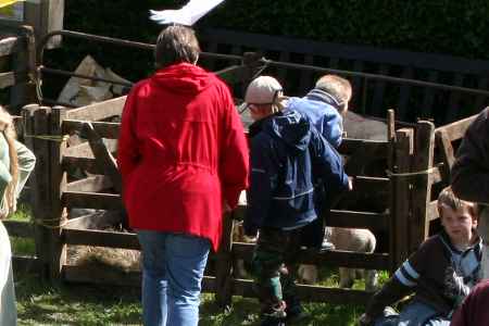 Kids love animals ...