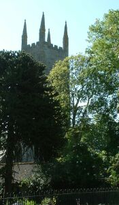 Church tower in trees