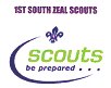 Scouts carrying box