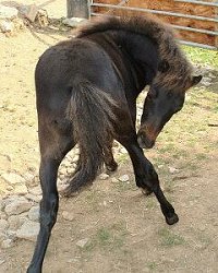 A bit of an itch