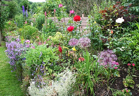 colourful border