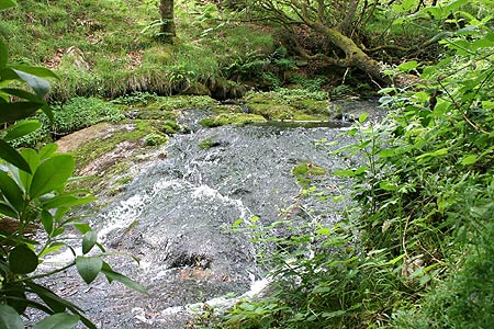 Blackaton Brook