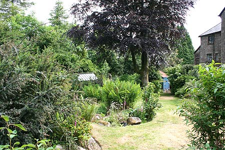 view to the house