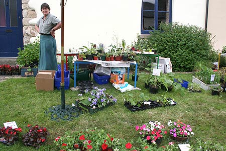 plants donated for sale