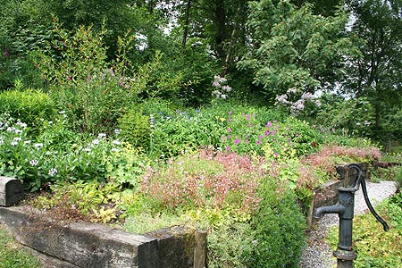 pump and raised bed